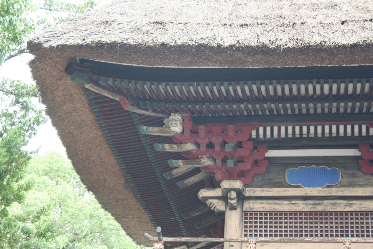 青井阿蘇神社 彫刻の画像 Sculpture of Aoi Aso Shrine 