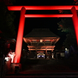 ライトアップされた青井阿蘇神社の鳥居の写真